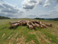 img-20250612-wa0004.jpg