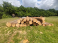 img-20250612-wa0005.jpg