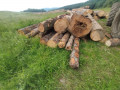 img-20250612-wa0022.jpg