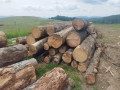 img-20250612-wa0027.jpg