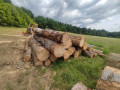 img-20250612-wa0030.jpg