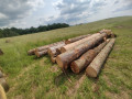 img-20250612-wa0034.jpg