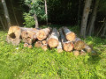 img-20250612-wa0047.jpg