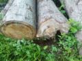 img-20250612-wa0049.jpg