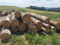 img-20250624-wa0013.jpg