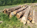 img-20250624-wa0017.jpg