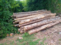 img-20250701-wa0015.jpg