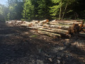 img-20250625-wa0005.jpg