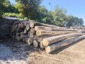 img-20250813-wa0014.jpg