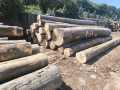 img-20250813-wa0012.jpg