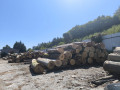 img-20250813-wa0011.jpg