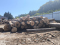 img-20250813-wa0010.jpg
