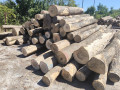 img-20250813-wa0018.jpg