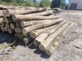 img-20250813-wa0015.jpg