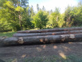 img-20250814-wa0029.jpg