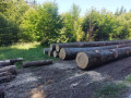 img-20250814-wa0030.jpg