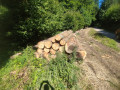 img-20250814-wa0026.jpg