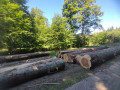 img-20250814-wa0031.jpg