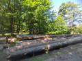 img-20250814-wa0032.jpg