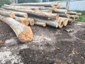 img-20250901-wa0002.jpg