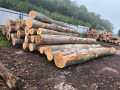 img-20250901-wa0003.jpg