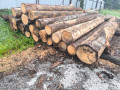 img-20250901-wa0006.jpg