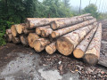 img-20250901-wa0007.jpg