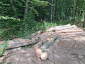 img-20250827-wa0015.jpg
