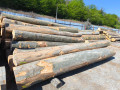 img-20260430-wa0005.jpg