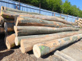 img-20260430-wa0008.jpg