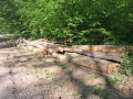 img-20260504-wa0019.jpg