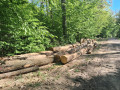 img-20260504-wa0020.jpg