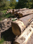 img-20260504-wa0014.jpg