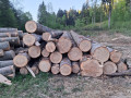 img-20260505-wa0011.jpg