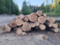 img-20260505-wa0012.jpg