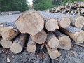 img-20260505-wa0010.jpg