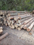 img-20260422-wa0061_1.jpg
