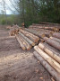 img-20260422-wa0060_1.jpg