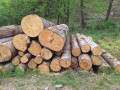 20260507_092256.jpg