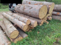 20260507_092357.jpg