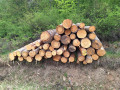20260507_095419.jpg