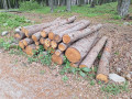 20260507_101538.jpg