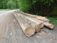 img-20260507-wa0018.jpg