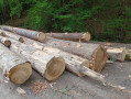 img-20260507-wa0022.jpg