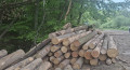 img-20260511-wa0007.jpg