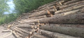 img-20260511-wa0010.jpg