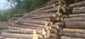 img-20260511-wa0008.jpg