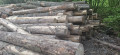 img-20260511-wa0009.jpg