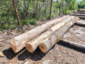 img-20260514-wa0002.jpg