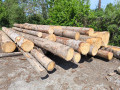 img-20260514-wa0005.jpg